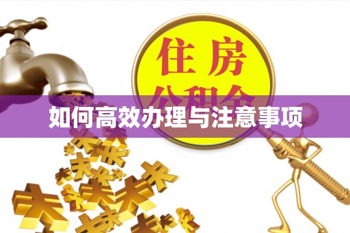 汶川如何高效办理与注意事项